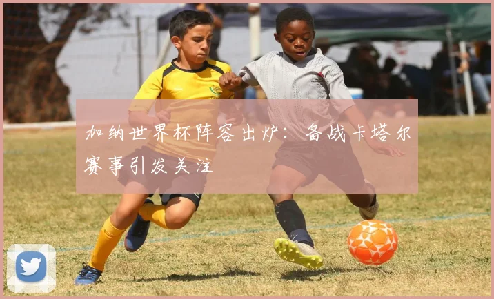 加纳世界杯阵容出炉：备战卡塔尔赛事引发关注