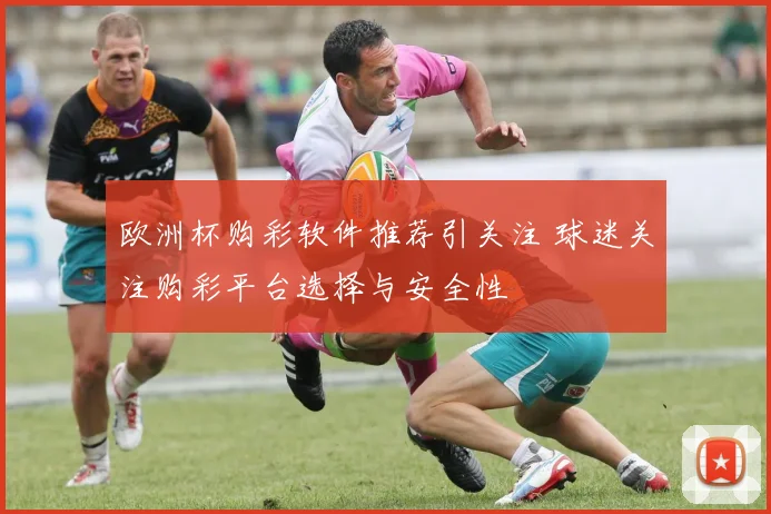 欧洲杯购彩软件推荐引关注 球迷关注购彩平台选择与安全性