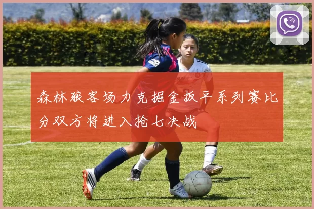 森林狼客场力克掘金扳平系列赛比分双方将进入抢七决战